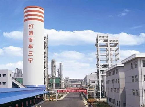 杨文华 从维修工到智能专家