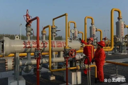 天然气的衍生产品和化工工业