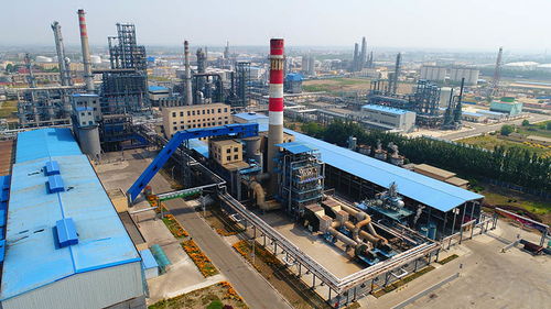 石油化工业务板块 能源转型时代的基石与引擎